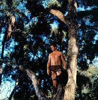 Tarzan - film (1966)