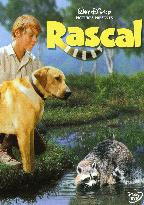 Rascal - film (1962)