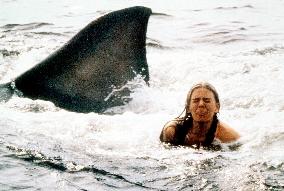 Jaws 2 (1978)