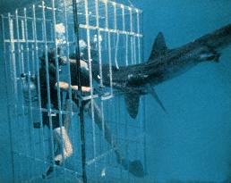 Sharks' Treasure (1975)