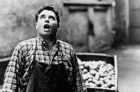 The Merchant Of Four Seasons (1972)