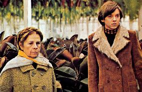 Harold And Maude (1971)