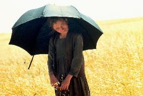 Days Of Heaven (1978)