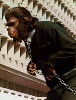 Conquest Of Planet Of The Apes (1972)