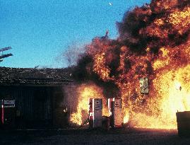 Kingdom Of The Spiders (1977)