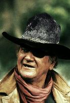 Rooster Cogburn (1975)