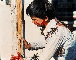 Kingdom Of The Spiders (1977)