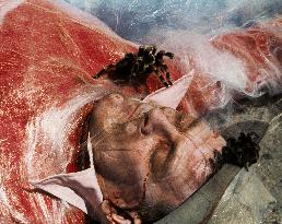 Kingdom Of The Spiders (1977)