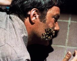 Kingdom Of The Spiders (1977)