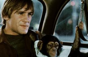 Bye Bye Monkey (1978)