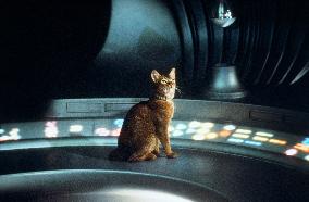 The Cat From Outer Space (1978)