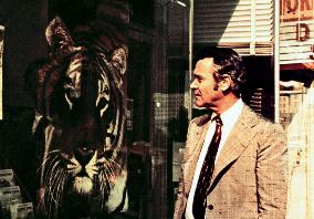 Save The Tiger (1973)