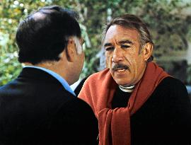 The Don Is Dead (1973)