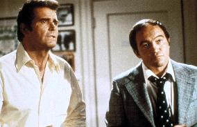 The Rockford Files (1974)