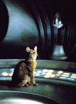 The Cat From Outer Space (1978)