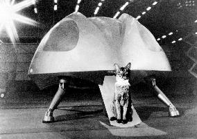 The Cat From Outer Space (1978)