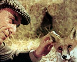 The Belstone Fox (1973)