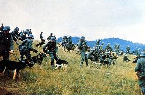The Battle Of Sutjeska (1974)