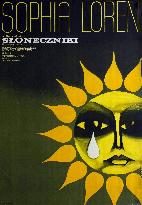Sunflower; I Girasoli (1970)