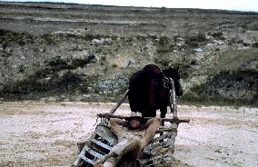 They Call Me Trinity (1970)