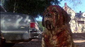 Cujo (1983)