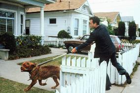 Turner & Hooch (1989)