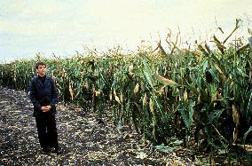 Children Of The Corn (1984)