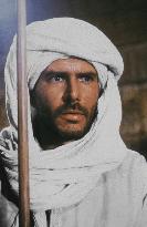 Raiders Of The Lost Ark (1981)