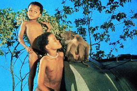 The Gods Must Be Crazy Ii (1989)