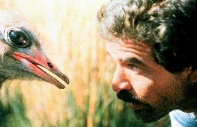 The Gods Must Be Crazy Ii (1989)