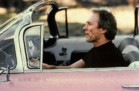 Pink Cadillac (1989)