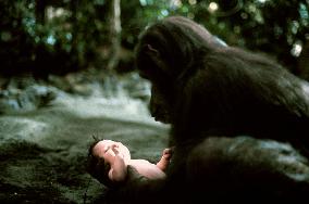 Greystoke:The Legend Of Tarzan (1984)