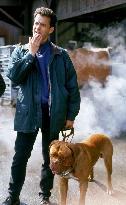 Turner & Hooch (1989)