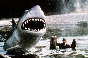 The Nude Bomb (1980)