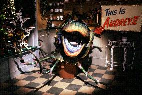 Little Shop Of Horrors (1986)