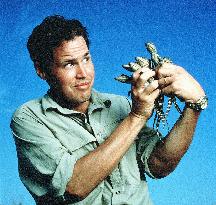 Going Wild With Jeff Corwin (1997)