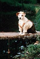 Wishbone'S Dog Days Of The Wes (1998)
