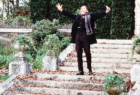 Twelfth Night Or What You Will (1996)