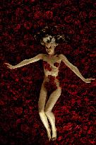 American Beauty (1999)