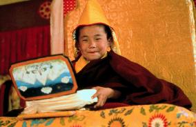 Seven Years In Tibet (1997)