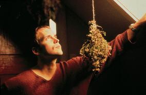 The Hanging Garden (1997)