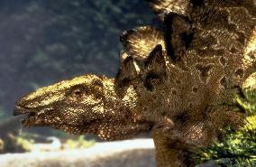 Walking With Dinosaurs (1999)