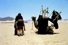 Passion In The Desert (1997)