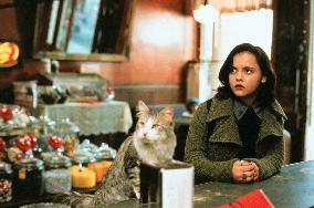 That Darn Cat (1997)