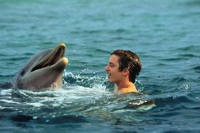 Flipper (1996)