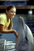 The New Adventures Of Flipper (1995)