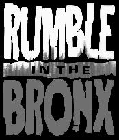 Rumble In The Bronx (1995)
