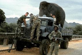 Operation Dumbo Drop (1995)