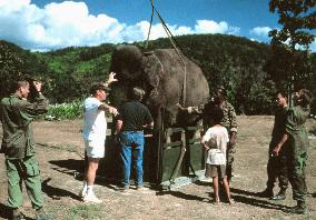 Operation Dumbo Drop (1995)