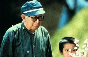 Akira Kurosawa'S Dream (1990)